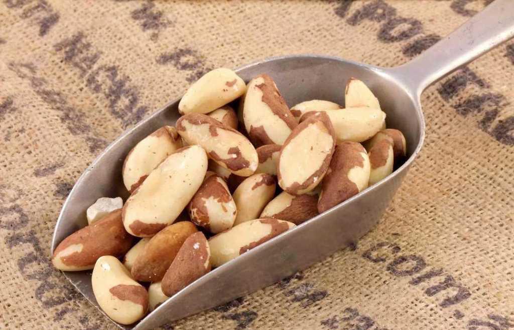 Самые популярные орехи: их польза и вред