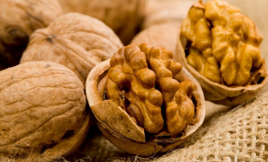 Самые популярные орехи: их польза и вред